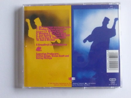 Shabba Ranks - Rough &amp; Ready vol.1