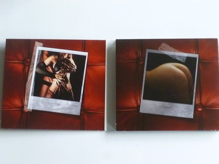 De Stoute Box (CD + DVD)