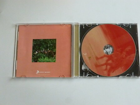 Paul Simon - The Rhythm of the Saints (geremastered)