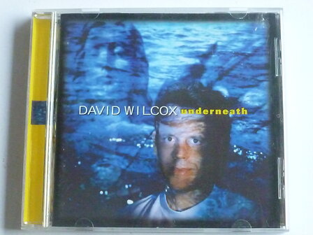 David Wilcox - Underneath