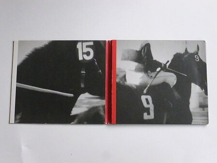 Gotan Project - Lunatico