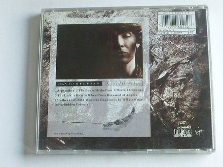 David Sylvian - Secrets of the Beehive