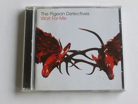 The Pigeon Detectives - Wait for me
