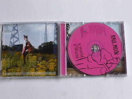 Raul Midon - A world within a world