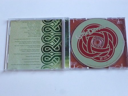 Oliver Schroer - Celtic Devotion