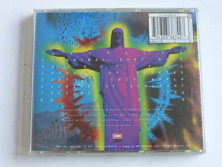 Marillion - Afraid of Sunlight