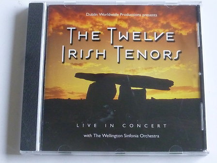 The Twelve Irish Tenors - Live in Concert