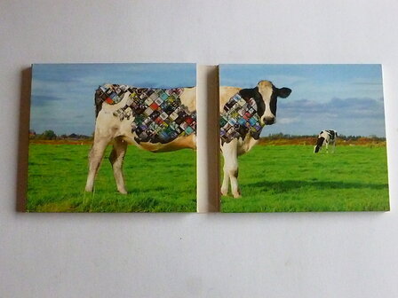 Top 2000 Nederpop - 2CD + DVD