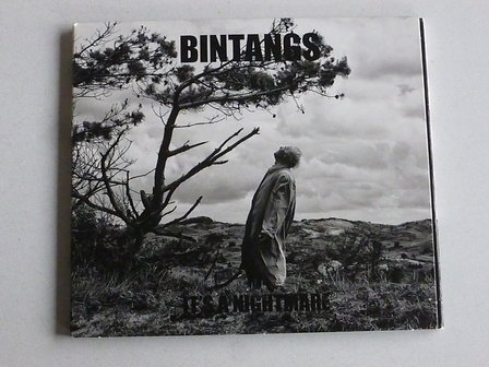 Bintangs - It&#039;s a Nightmare (digipack)