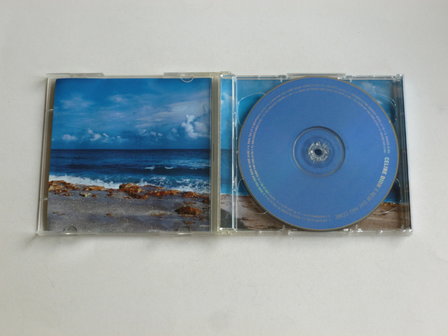 Celine Dion - A New Day has Come (limited)  CD + DVD