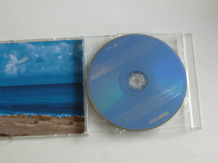 Celine Dion - A New Day has Come (limited)  CD + DVD