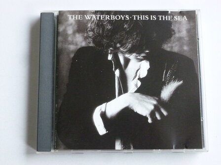 The Waterboys - This is the Sea (chrysalis)