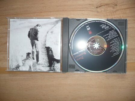 David Baerwald - Bedtime Stories