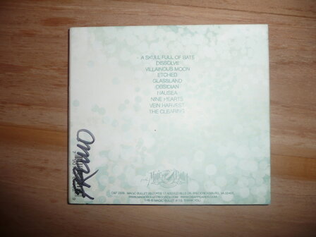 Disappearer - The Clearing