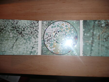 Disappearer - The Clearing