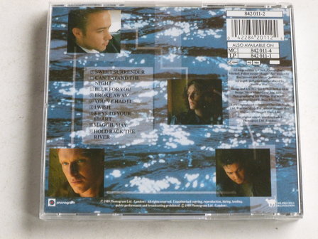 Wet Wet Wet - Holding back the river
