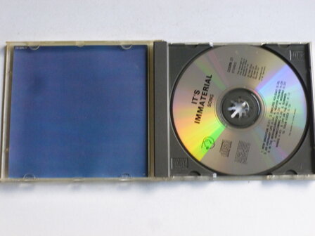 It&#039;s Immaterial - Song