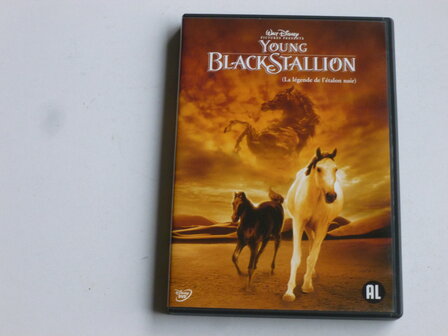 Young Black Stallion (DVD)