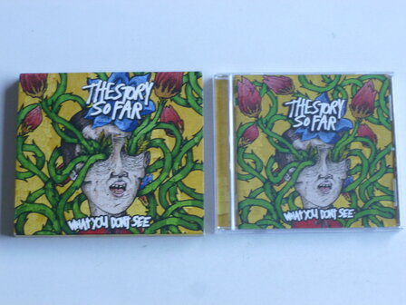 The Story so Far - What you don&#039;t see