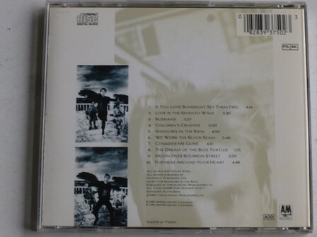 Sting - The dream of the blue turtles