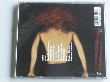 Tori Amos - From the choirgirl hotel