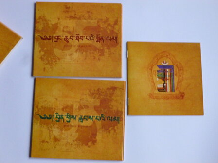Lama Gyurme &amp; Jean-Philippe Rykiel - The Lama&#039;s Chants (2 CD)