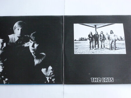 The Cats - Times were when (2 LP)