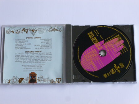 Dave Stewart and the Spiritual Cowboys