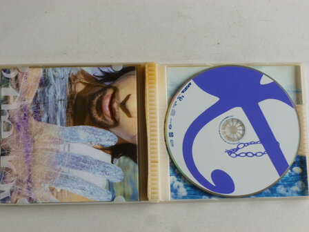 Prince - Rave Un2 the Joy Fantastic