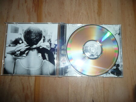 Jessica Folker - Dino