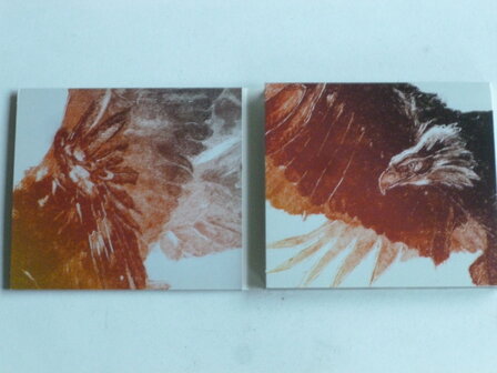 Snow Patrol - Fallen Empires (CD + DVD) special edition