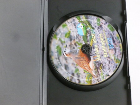 Herken onze Steltlopers (DVD)