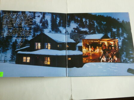 Amy Grant - A Christmas Album (LP) MYR 1155