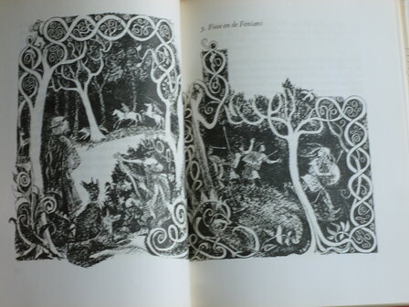 Rosemary Sutcliff - De Sage van Finn Mac Cool (boek)