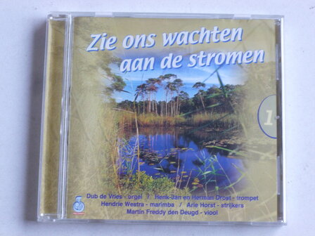 Dub de Vries - Zie ons wachten aan de stromen