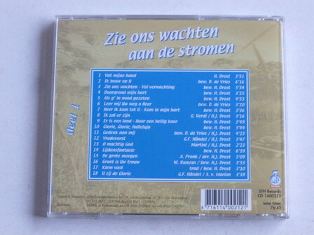 Dub de Vries - Zie ons wachten aan de stromen