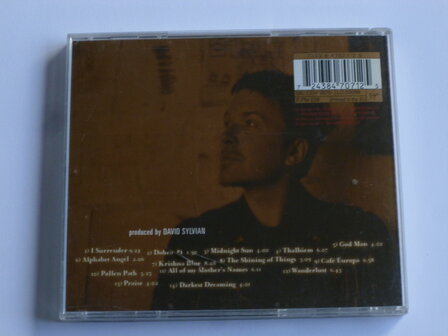 David Sylvian - Dead Bees on a Cake