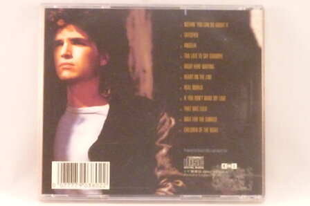 Richard Marx - Repeat Offender&nbsp;