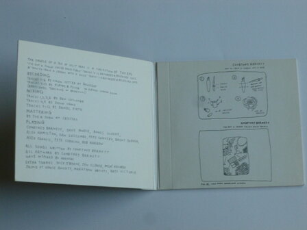 Courtney Barnett - A Sea of Split Peas (digipack)