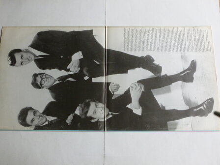 The Shadows - The Best of (2LP) 