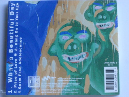 Levellers - What a Beautiful Day (CD Single)