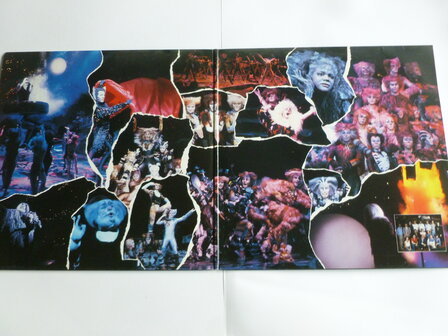 Cats - Andrew Lloyd Webber (2 LP) Nederlandstalige Versie