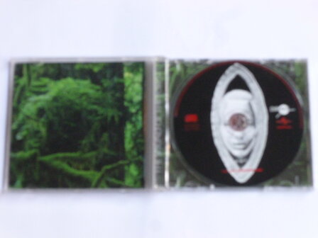 Raindance - The Sound of the Forest