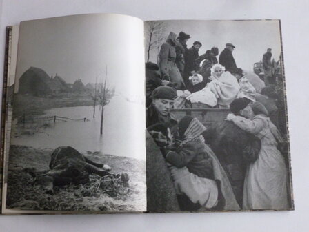 De Ramp - februari 1953 (boek + kaart)