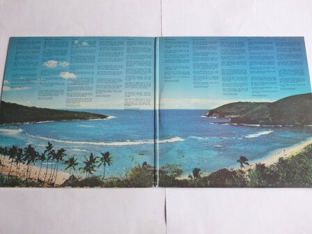 Randy Stonehill - The Sky is Falling (LP) SRA 2005