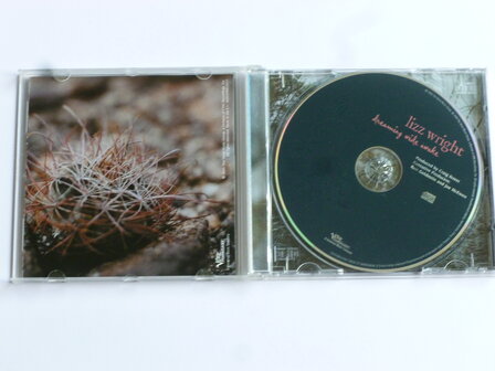 Lizz Wright - Dreaming wide awake