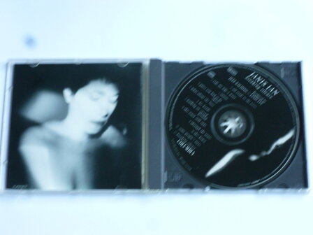 Janis Ian - Breaking Silence