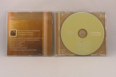 Alessandro Safina - Insiema A te