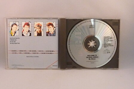 Mr. Mister - Welcome to the real world