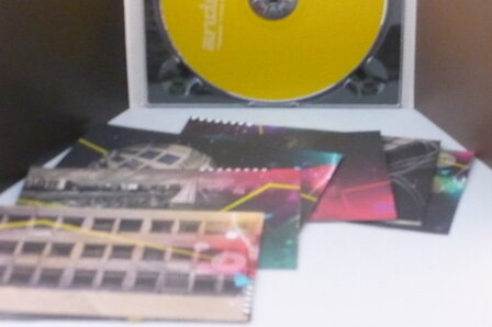 Anderson - It runs in the family